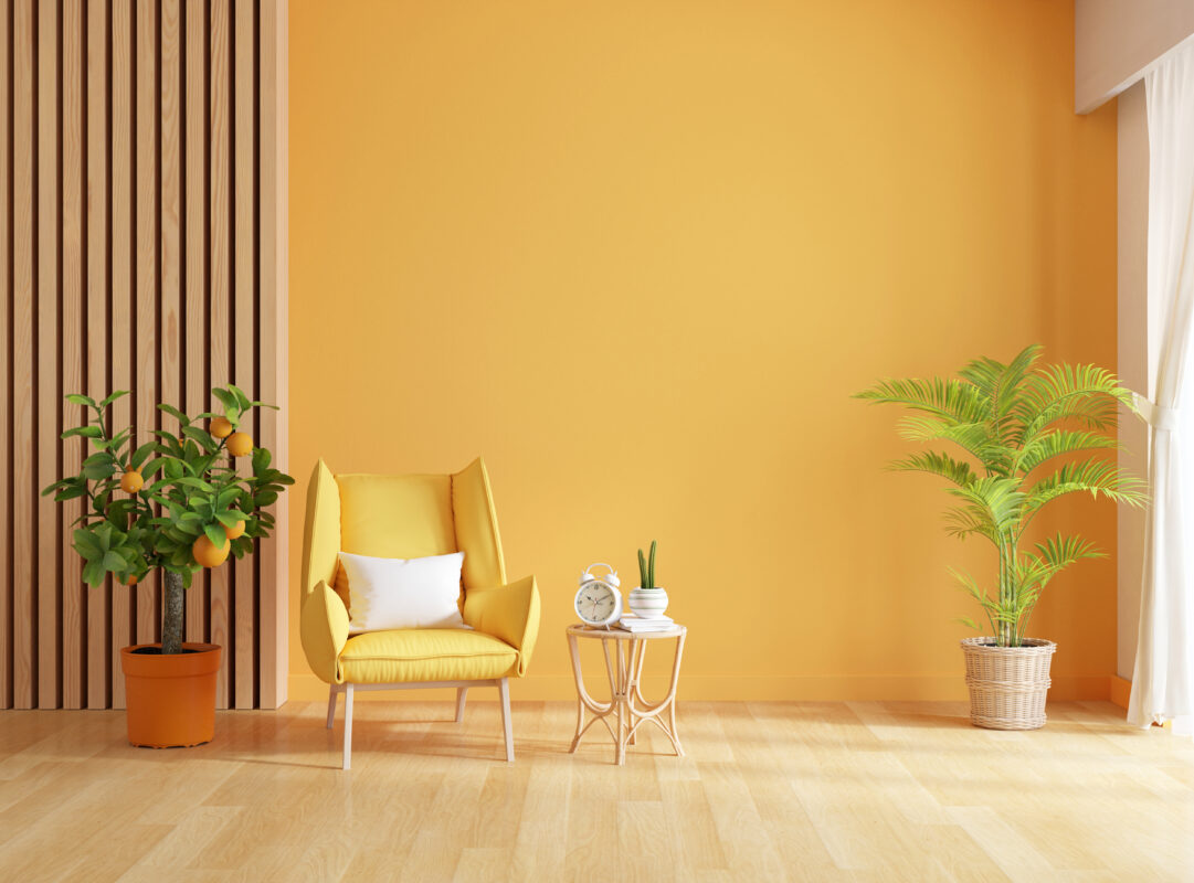 How to choose a wall colour , Best colour combination , best colour , Best wall colours